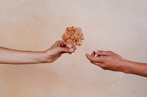 une fleur tendue pour accompagner les jolis messages d'une vie papeterie de luxe